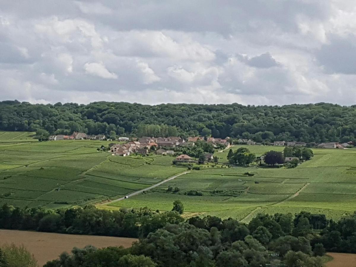 Le Domaine De L Etang Le Merger Oeuilly Exteriör bild